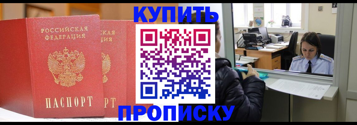 прописка для школы в Ленинградской области